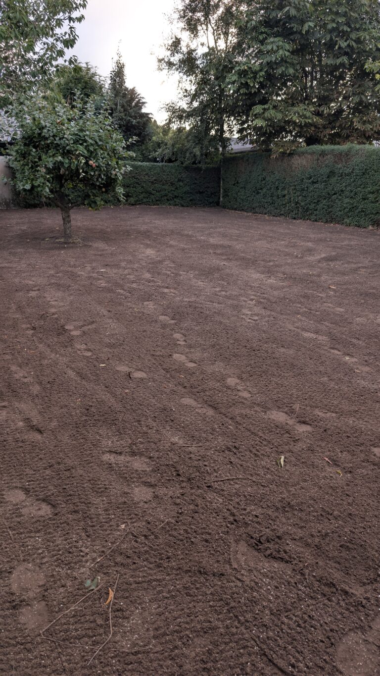 pxl 20260901 171805329