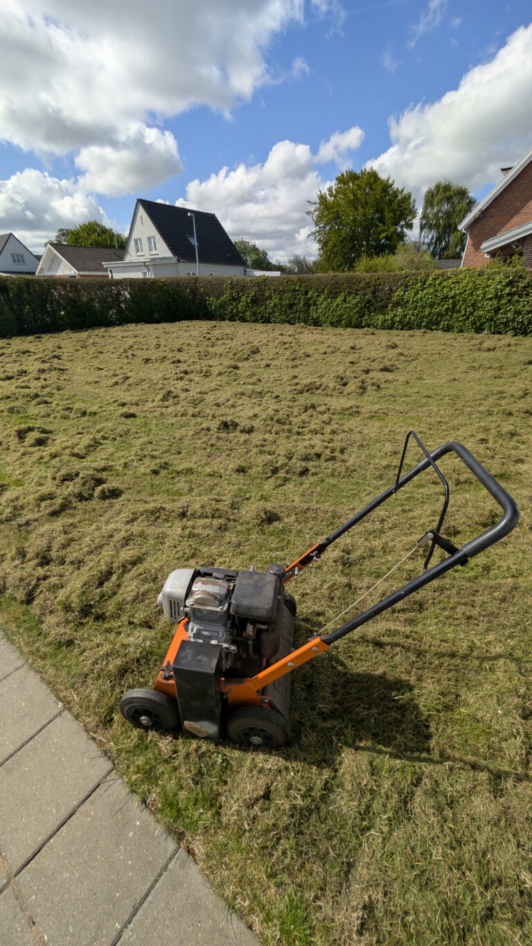vertikalskæring mosfjerning